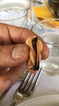 Foto pública de Mash_