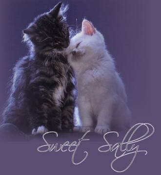 Foto publica di nessuno_