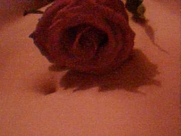 Foto pública de xxbimbasexx