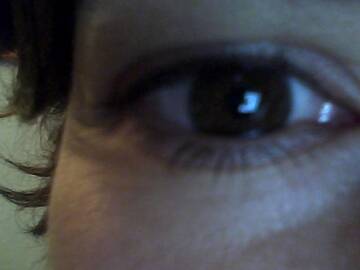 Foto pública de pussiina