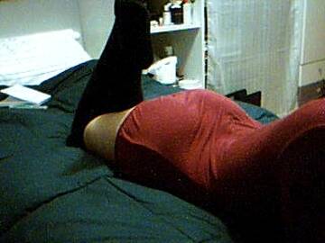 Foto pública de Abeja