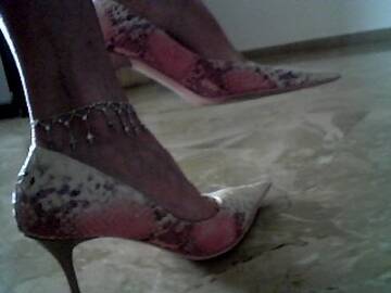 Foto publica di cucciolacam