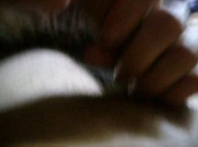Video amateur de pantera87