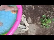 Video amateur de MISS_WAGON_VEGAN