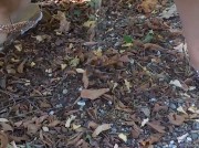 Video amateur de sabrymilf