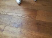 Video amateur de MillyMilly