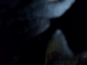 Video amateur de Desex