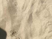 Video amateur de Morgana_Feet