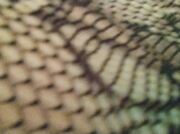 Video amateur de Antoska69