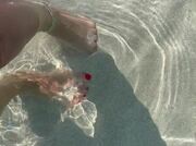 Mare profumo di mare